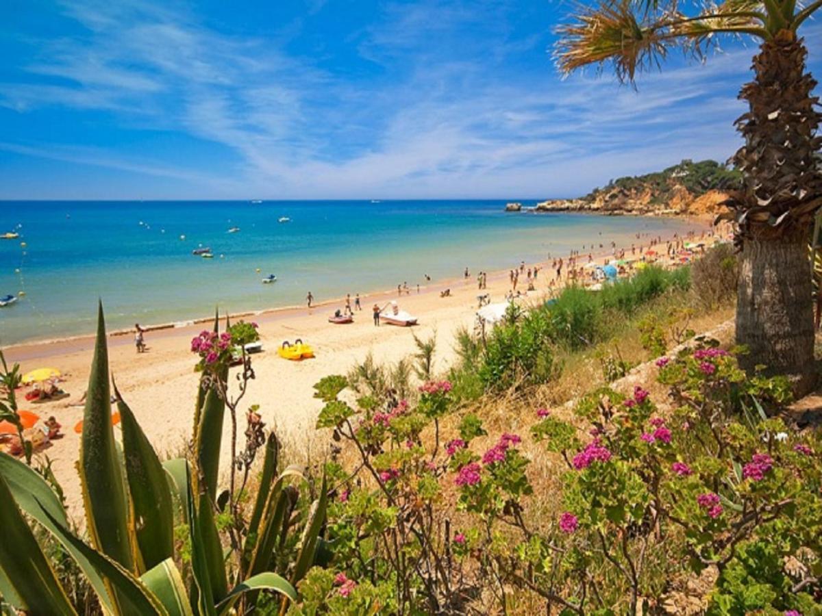 V4, Villa Jardins Branqueira2 Near Beach, Albufeira Bagian luar foto